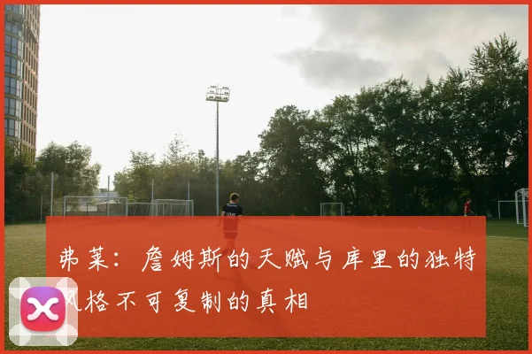 弗莱：詹姆斯的天赋与库里的独特风格不可复制的真相